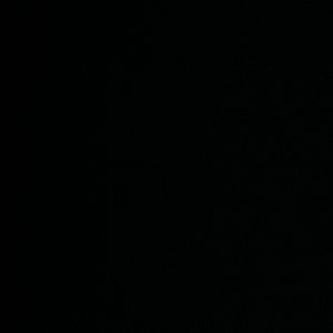 Meet your Posher, Gloria